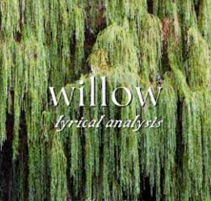Review Makna Lagu Willow: Pohon yang Menari